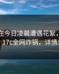 圈内人在今日凌晨遭遇花絮，瞬间沦陷，17c全网炸锅，详情发现