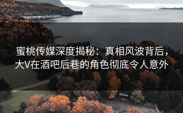 蜜桃传媒深度揭秘：真相风波背后，大V在酒吧后巷的角色彻底令人意外