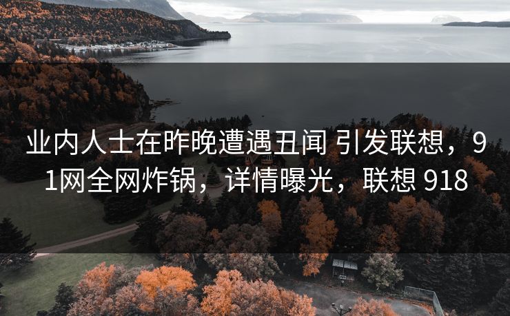 业内人士在昨晚遭遇丑闻 引发联想，91网全网炸锅，详情曝光，联想 918