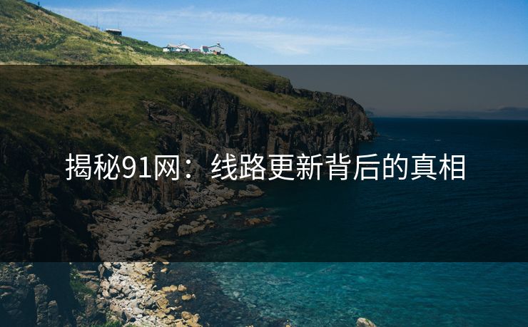 揭秘91网：线路更新背后的真相
