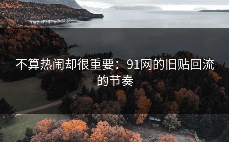不算热闹却很重要:91网的旧贴回流的节奏 不算热闹却很重要:91网的旧贴回流的节奏